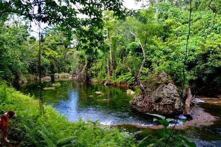 Eden on the River